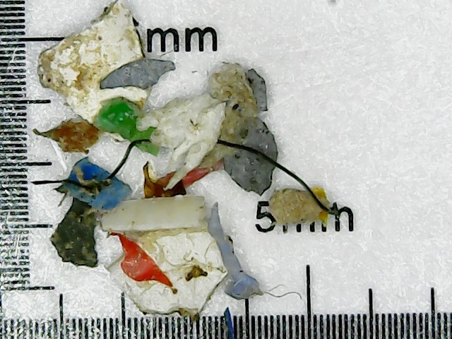 Microplastics